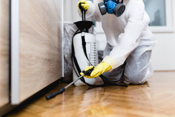 Best Affordable Pest Control Services  in Urbana, OH