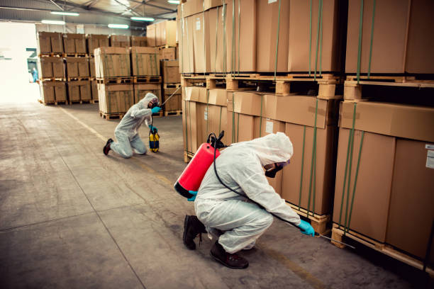 Trusted Urbana, OH Pest Control Experts