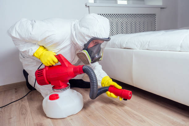 Flea Control Services in Urbana, OH