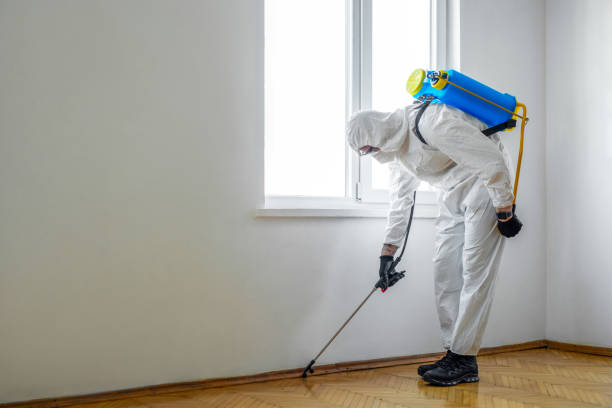 Best Best Pest Control Companies  in Urbana, OH