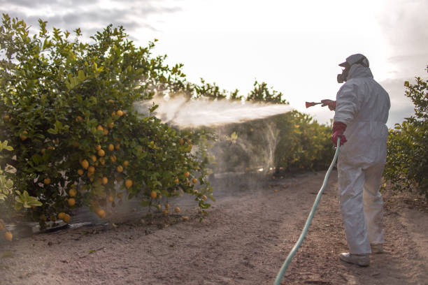 Best Pest Prevention Services  in Urbana, OH