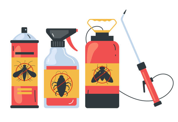 Best Spider Control Near Me  in Urbana, OH