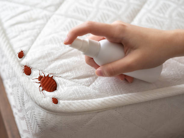 Best Pest Control Near Me in Urbana, OH