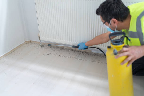 Best Cockroach Control Services  in Urbana, OH