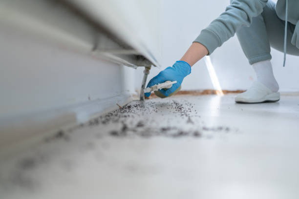 Insect Control in Urbana, OH